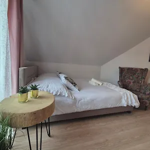 Pino House Guest house